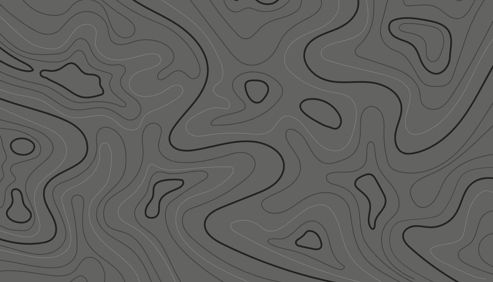 Grey stylized height of the topographic in lines and contours background illustration vector