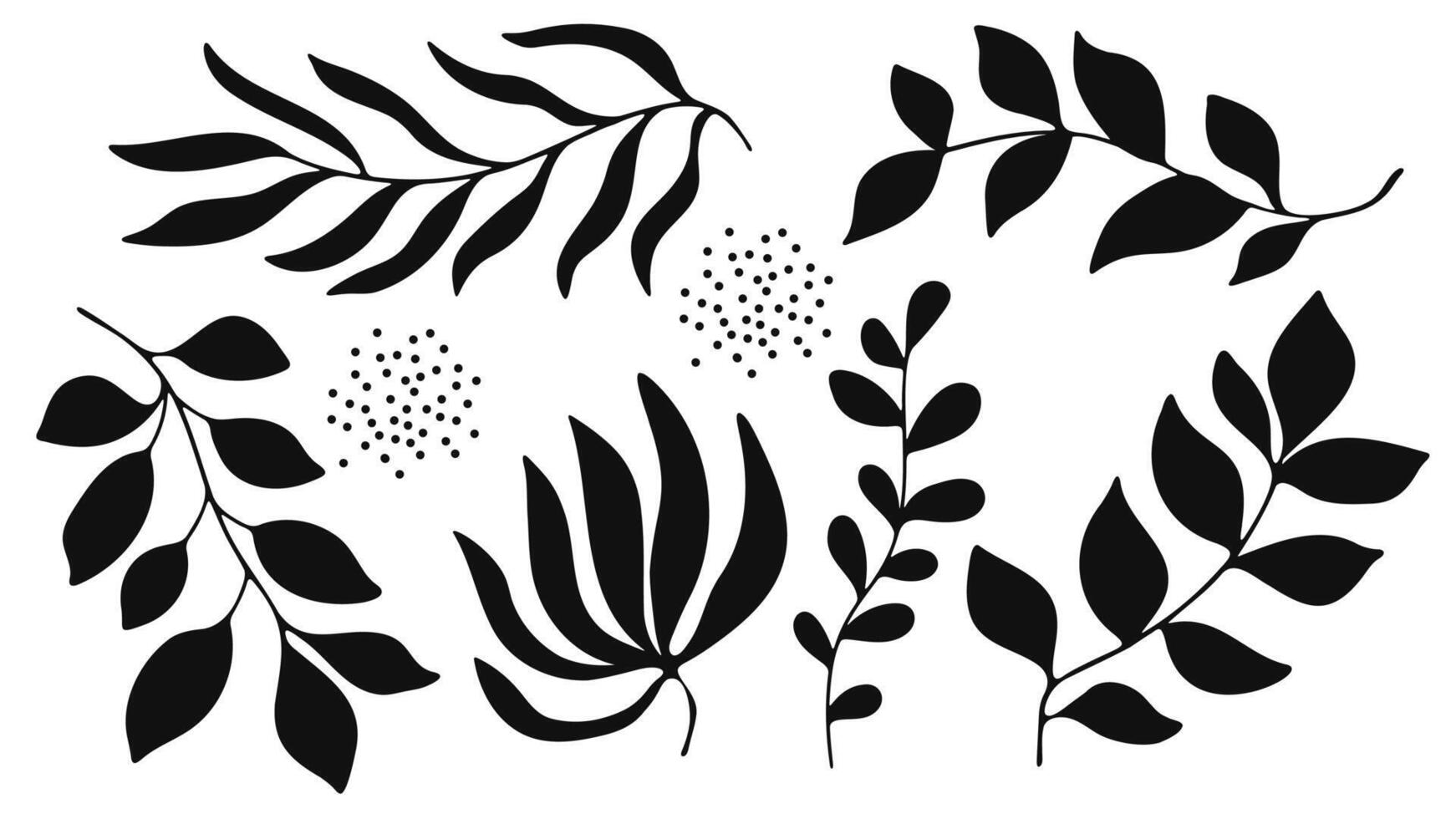 Silhouette Botanical Leaves Design Collection.Nature illustration vector