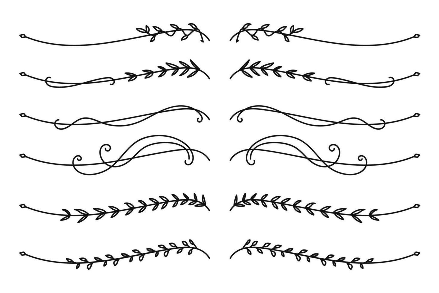 Botanical line divider for text layout separator decoration vector
