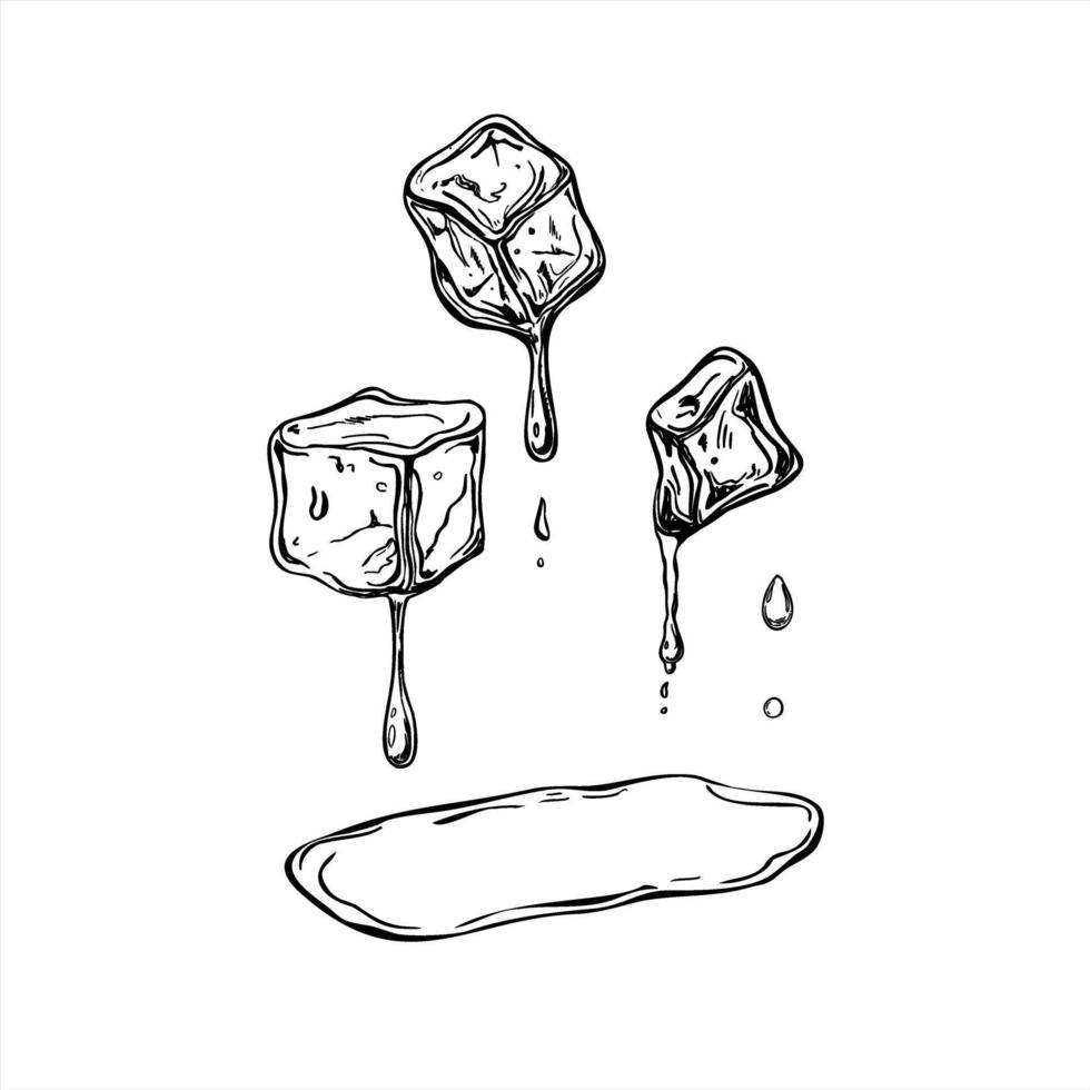 Monochrome melting ice cube with falling drops and water puddle illustration. Crystal freezer brick in clear liquid black and white sketch. For cocktail packaging, refreshing summer concept vector
