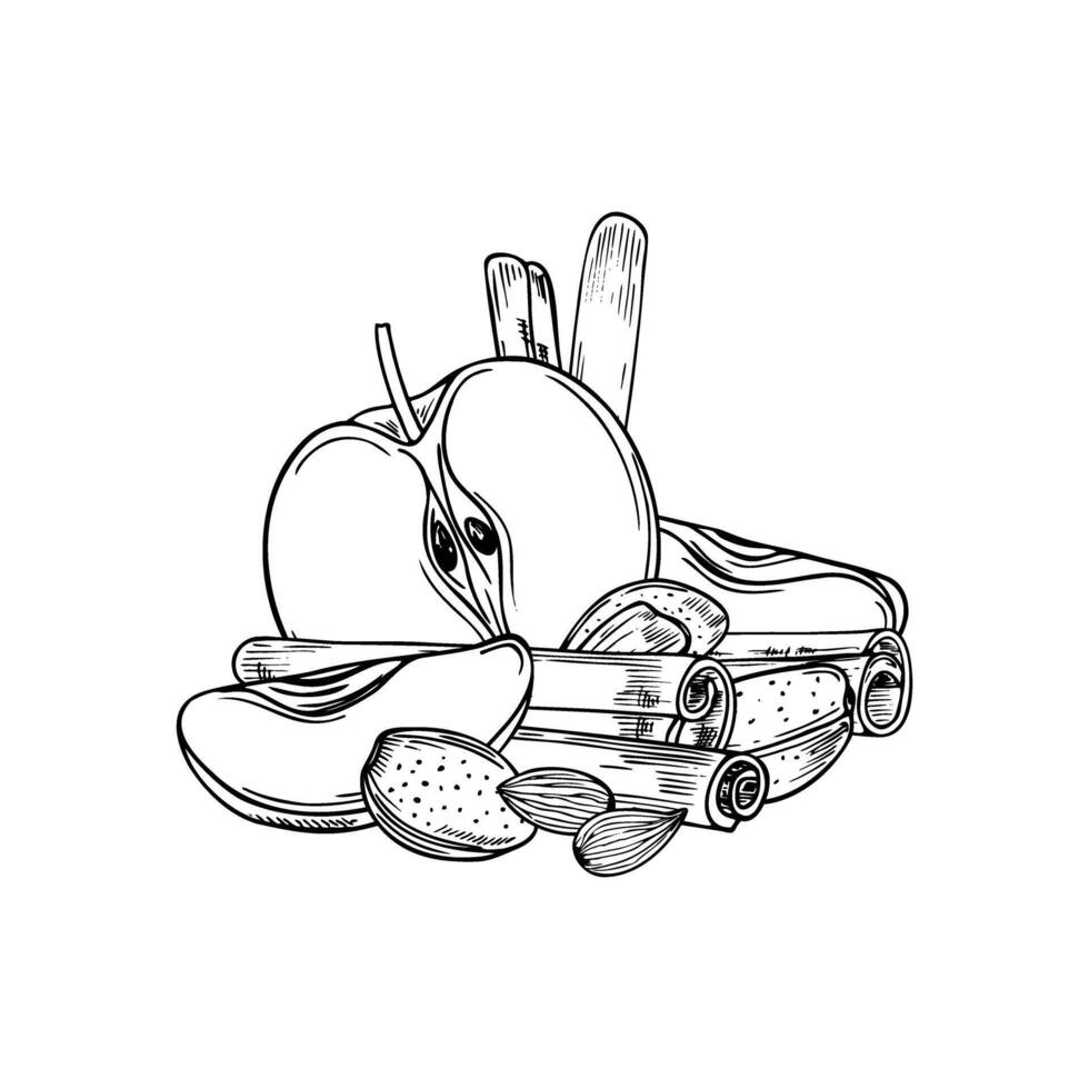 Apple slices, almonds and cinnamon sticks monochrome composition. Aromatic seasoning with fresh fruits, nuts, seasoning illustration for food packaging, seasonal menus and cozy winter designs. vector