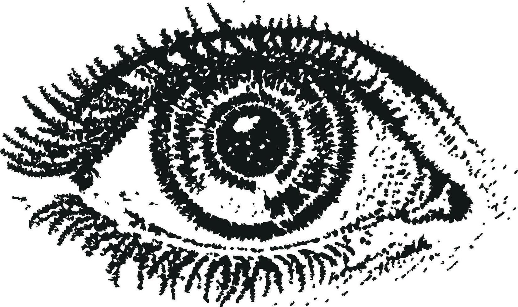 Detailed Human Eye Engraving Simple Style vector