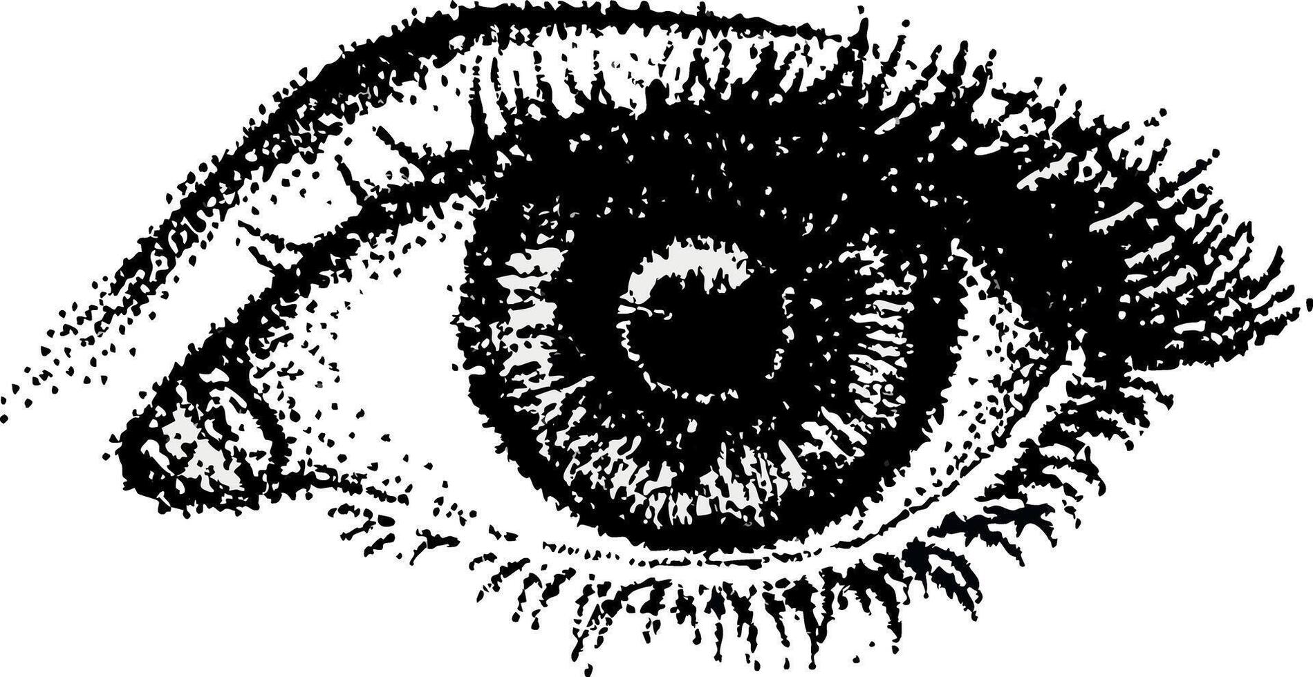 Detailed Eye Illustration Monochrome Stipple Technique Close Up vector