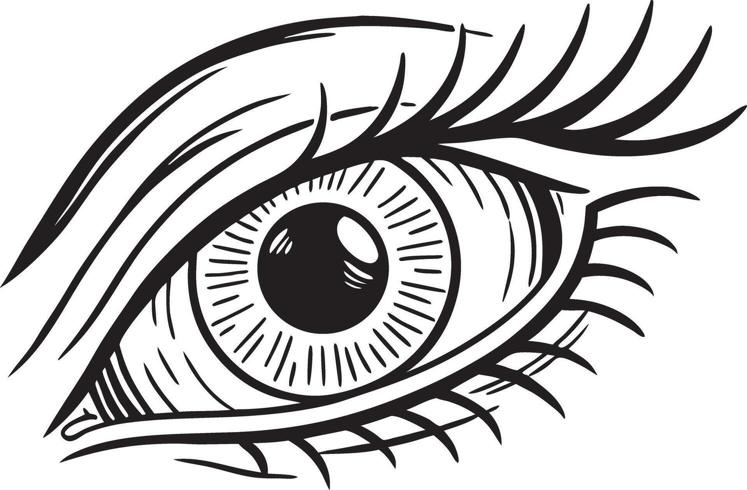 Monochrome Eye Illustration with Detailed Line Work vector
