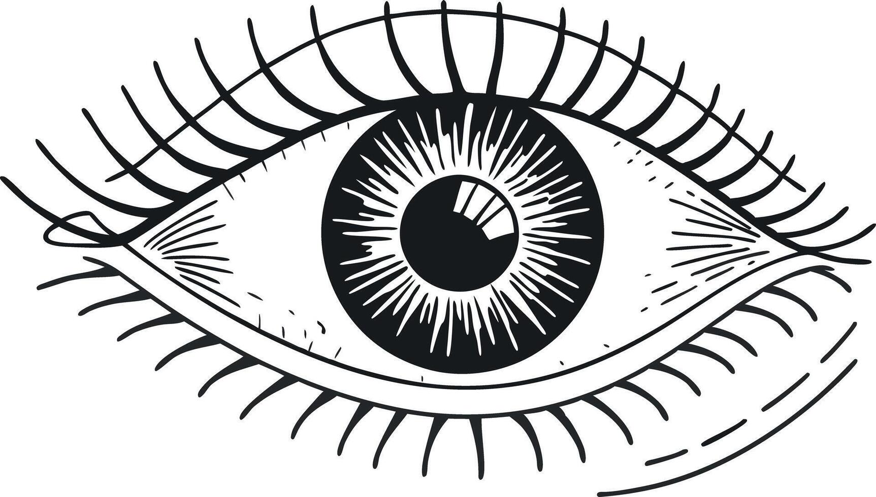 Engraved Eye Illustration with Eyelashes and Pupil vector