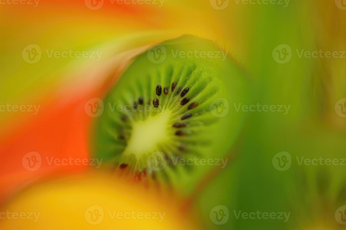 Close up of a kiwi fruit slice, vibrant colors, and sharp details photo