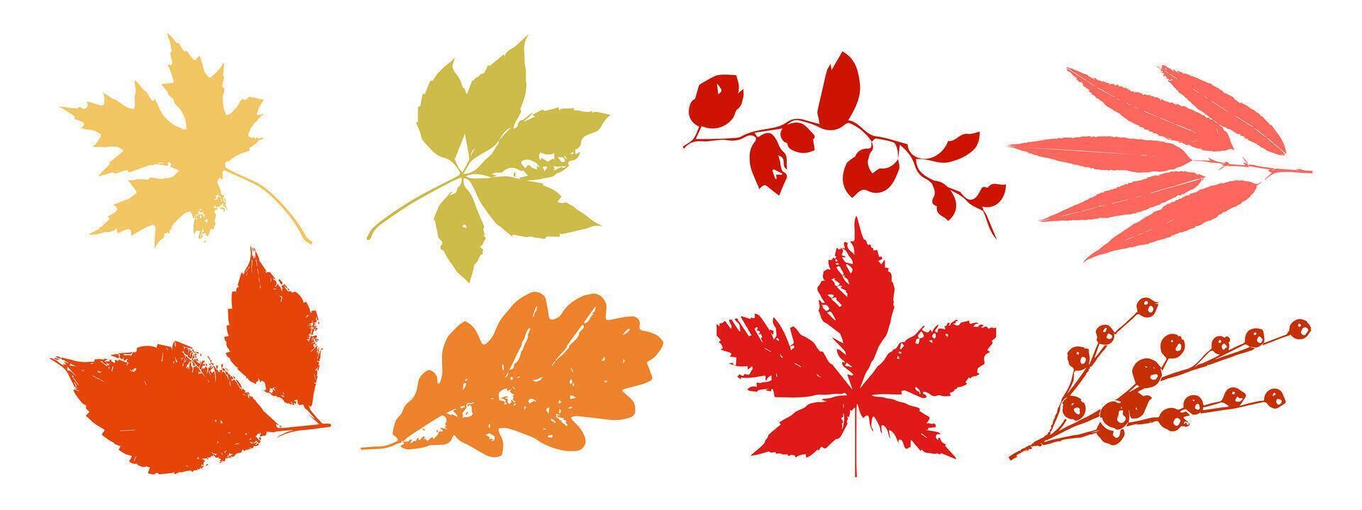 Set of autumn leaves in minimalist style. vector