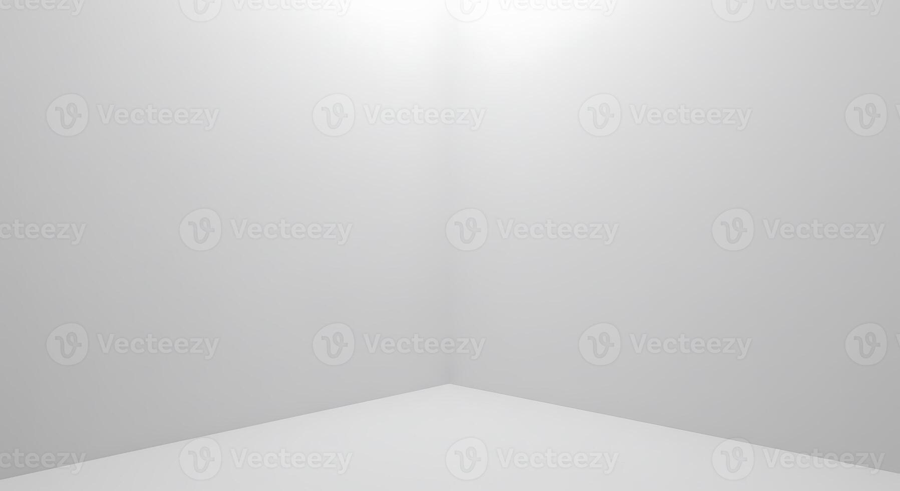 Empty room with white walls and a light photo