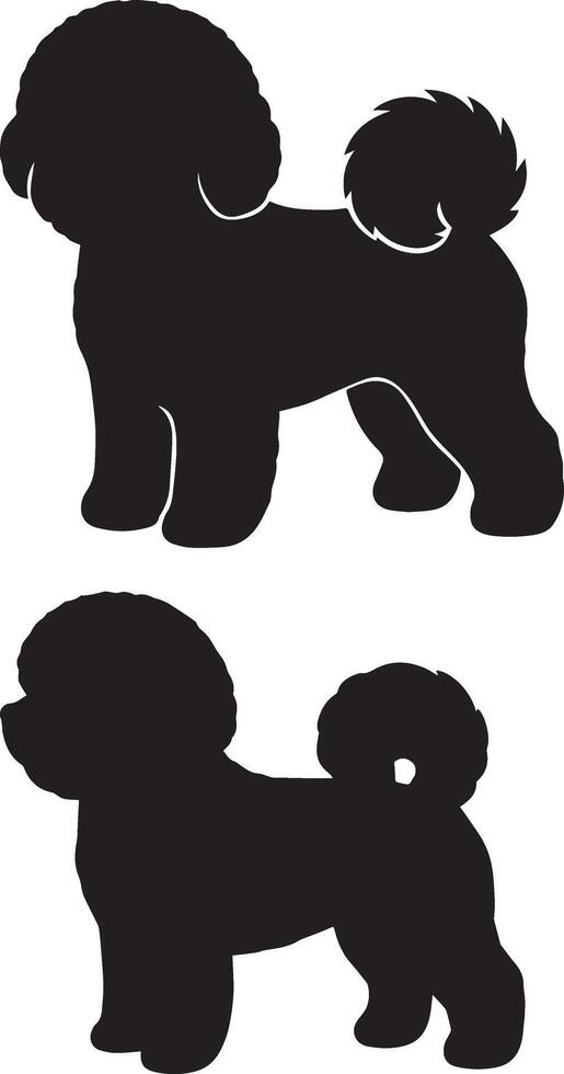 Bichon Frise Dog Breed Silhouette Graphics vector