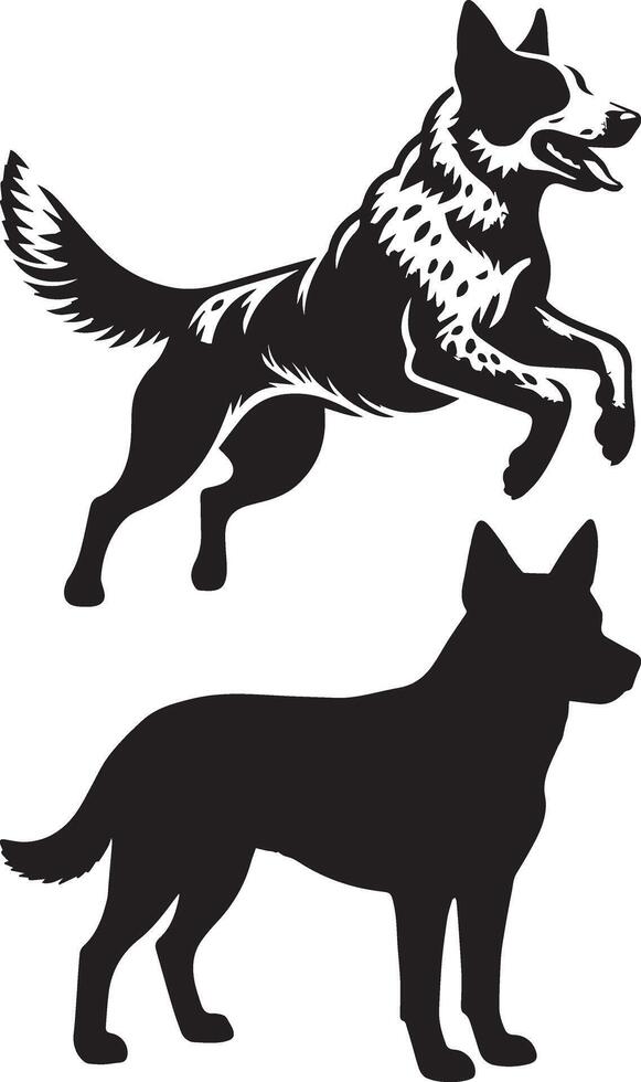 Australian Kelpie Dog Breed Silhouette vector