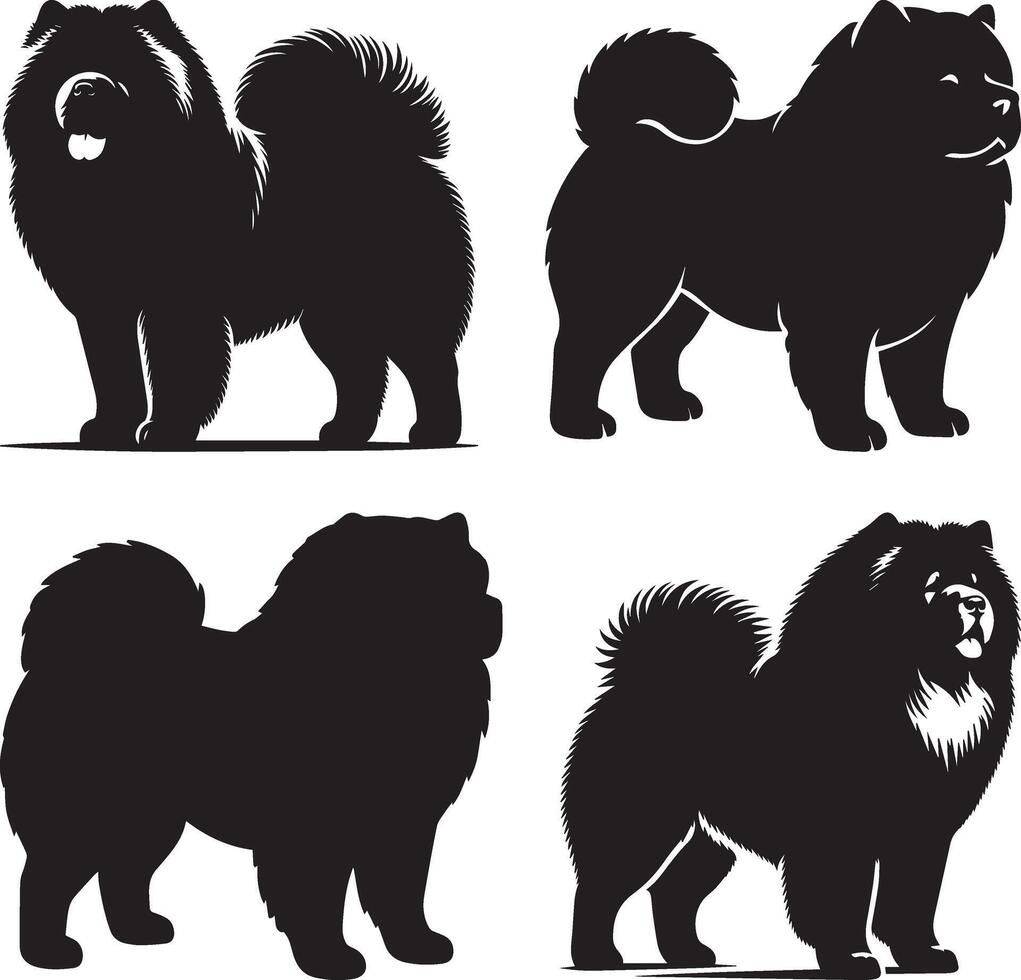 Chow Chow Dog Breed Silhouettes Fluffy vector