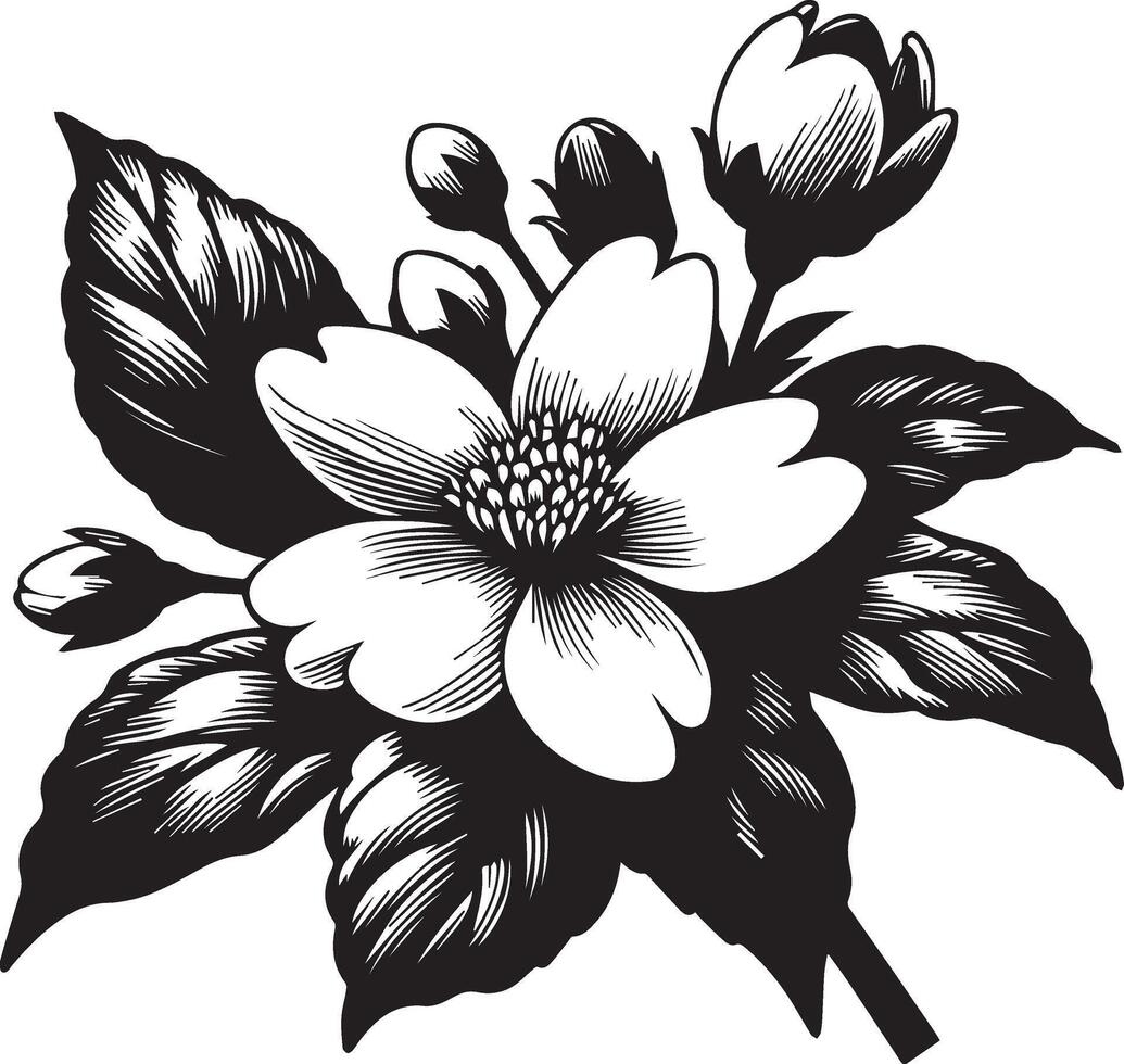 Dogwood Flower Engraving Illustration vector