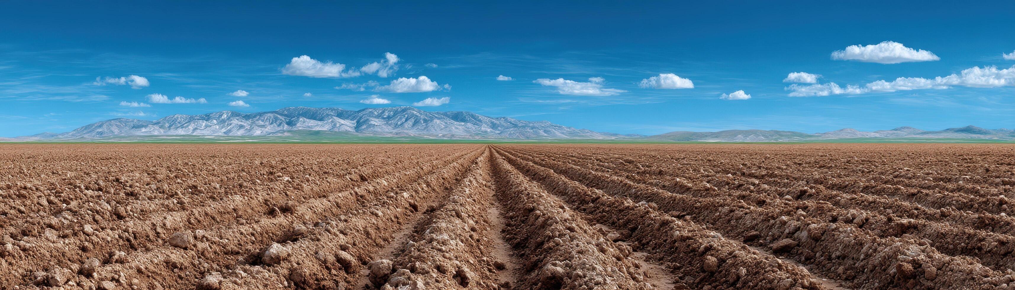 Cultivated landscape serenity open farmland aerial view of soft furrows and pale earth photo