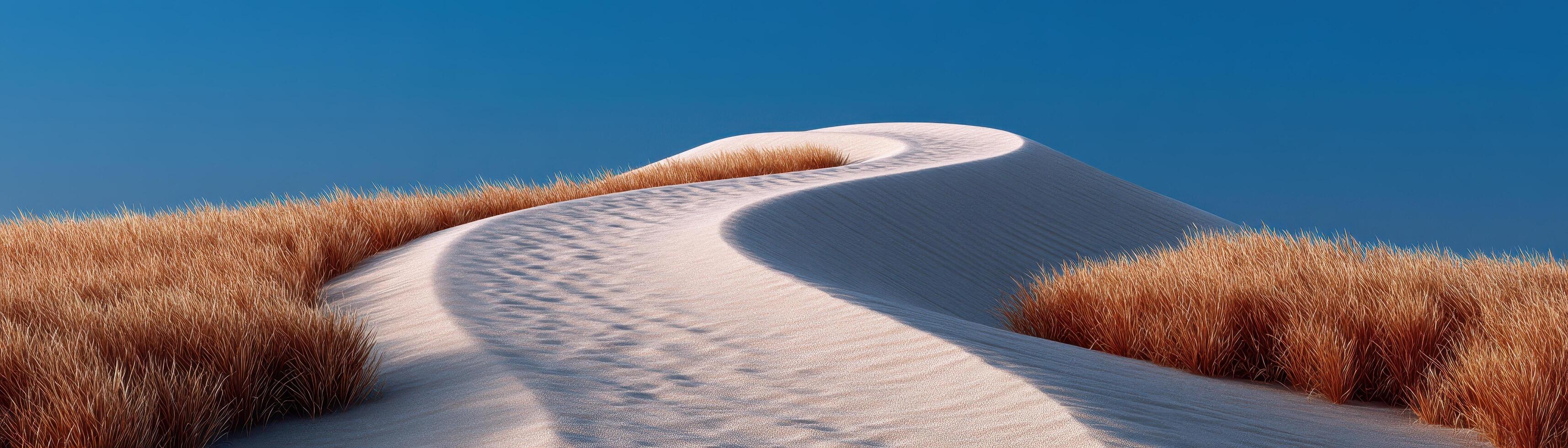 Gentle curves of empty desert dunes soft light shadows nature landscape tranquil view photo