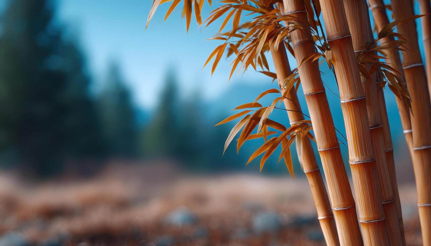 Bamboo forest serenity nature landscape minimalist photography tranquil environment close-up view photo