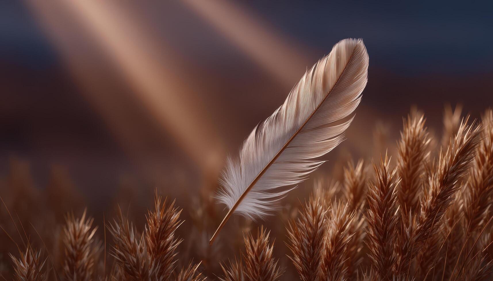 Golden feather illuminated by light nature scene soft power concept tranquil environment photo