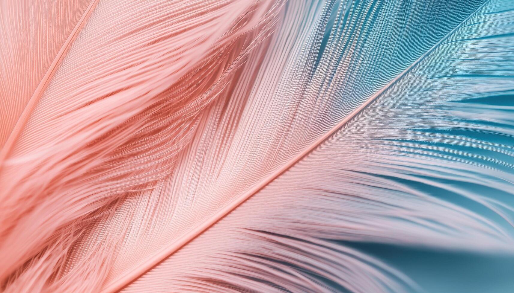 Closeup of delicate feather texture nature macro photography soft environment elegant viewpoint photo