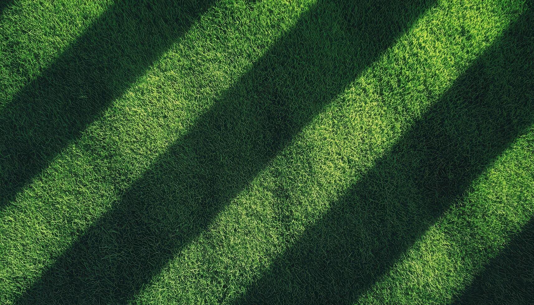 Shadows on lush green grass backyard nature photography outdoor aerial view patterns photo