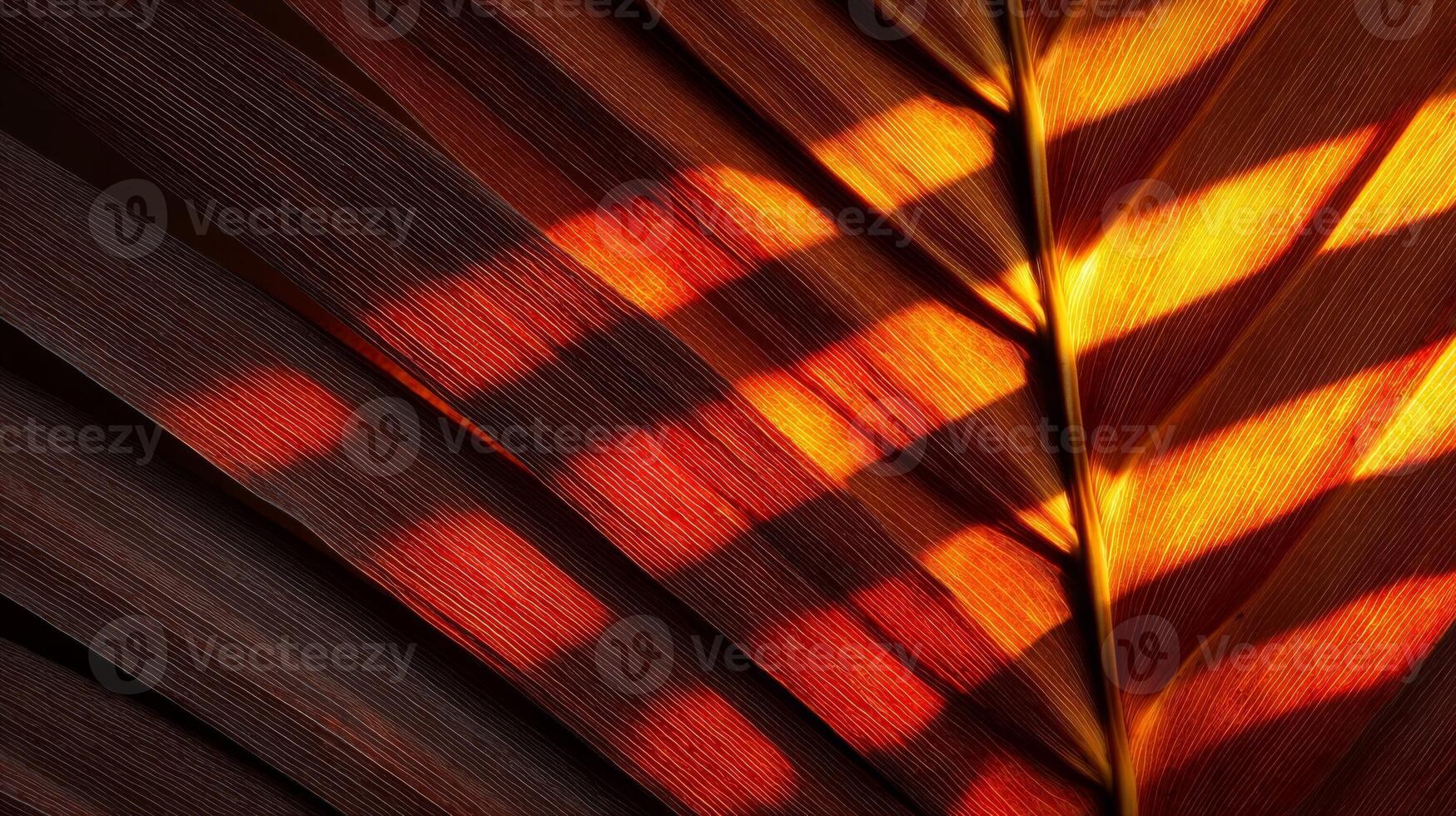 Close-up of a Tropical Palm Leaf with Warm Lighting photo