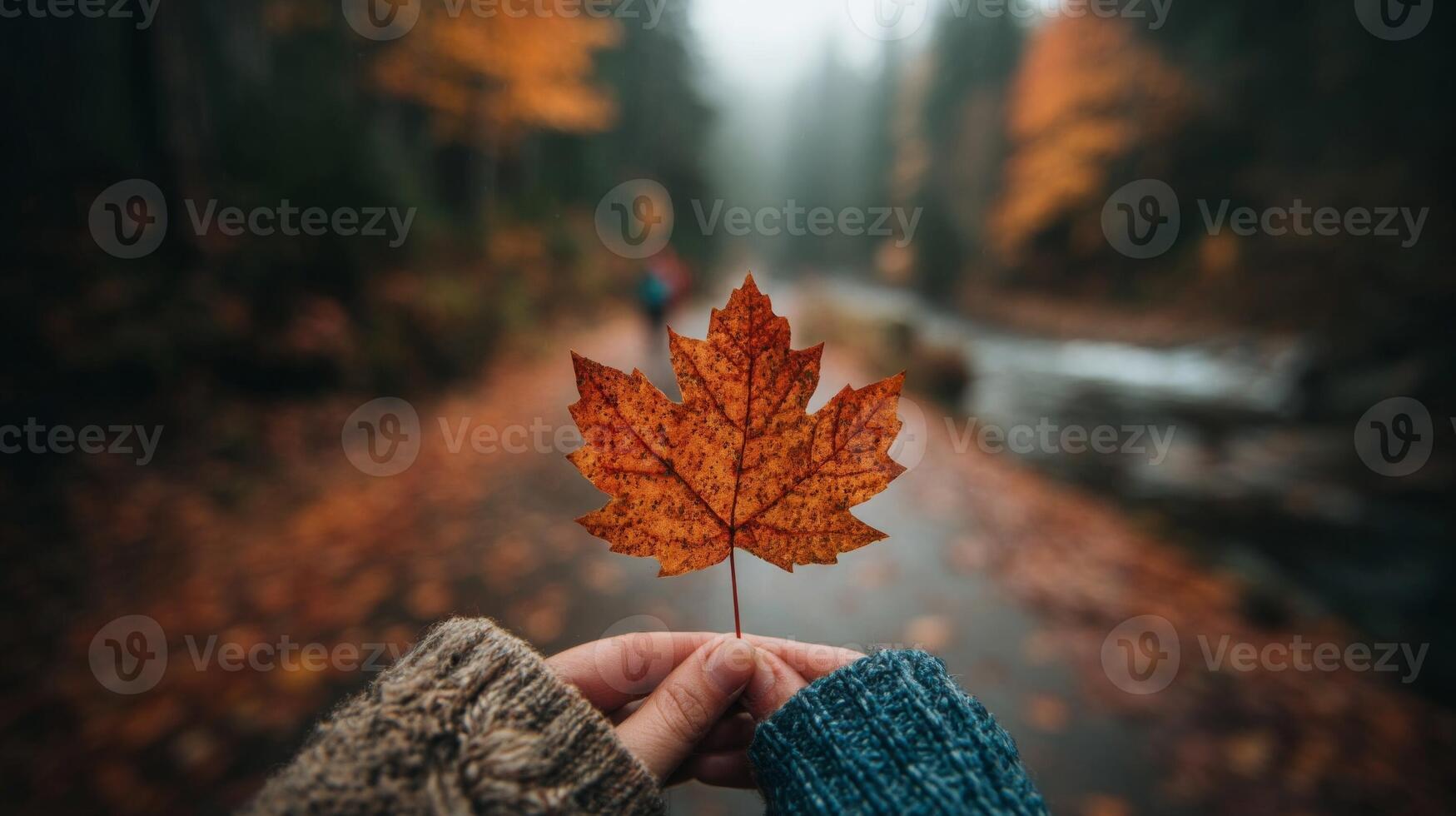 Autumn Maple Leaf Held in Hands Against a Foggy Forest Background photo