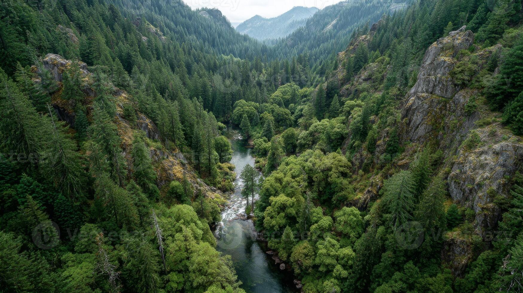 Aerial View of Lush Green River Valley photo