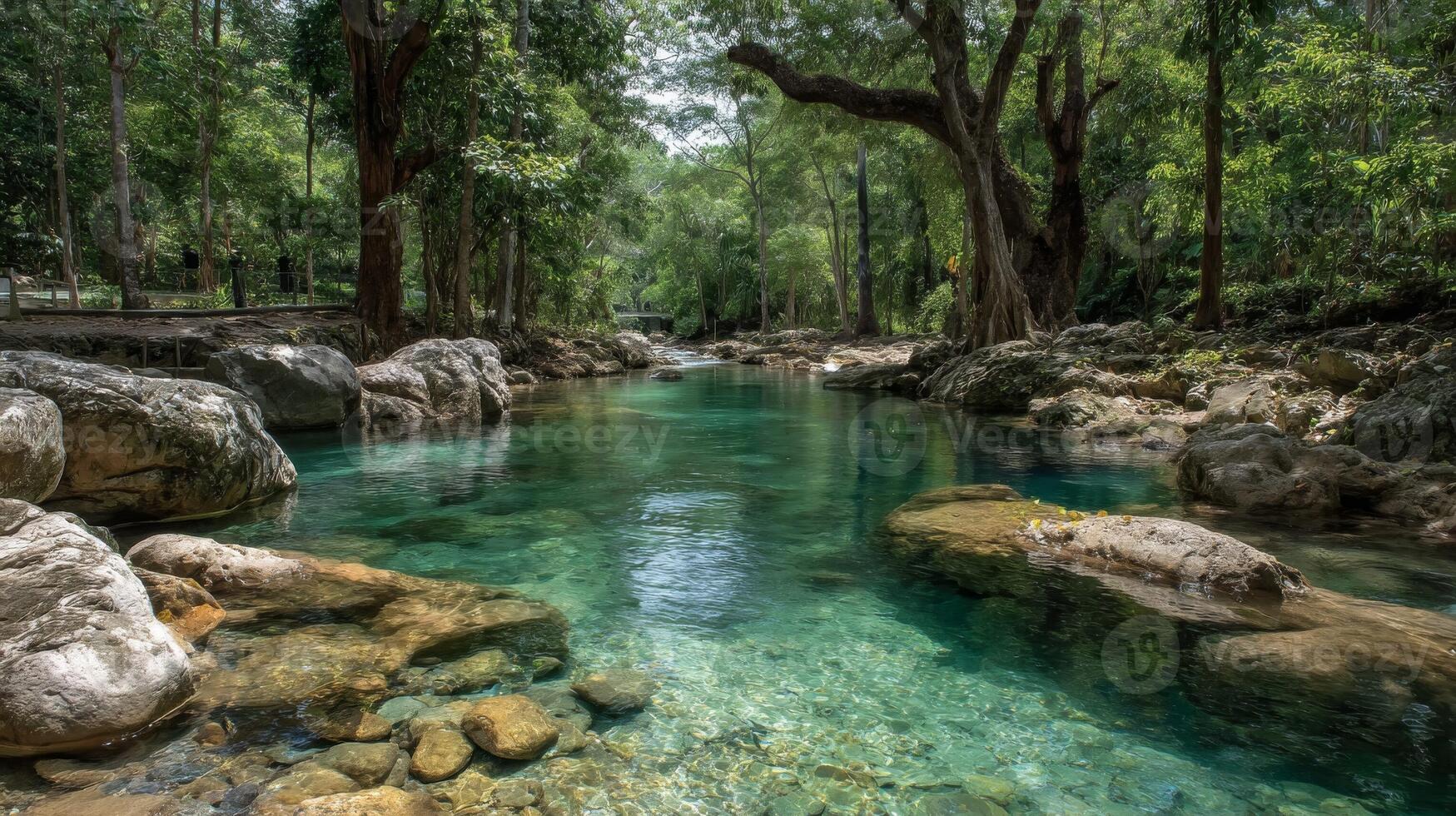 Clear Tropical River in Lush Forest photo
