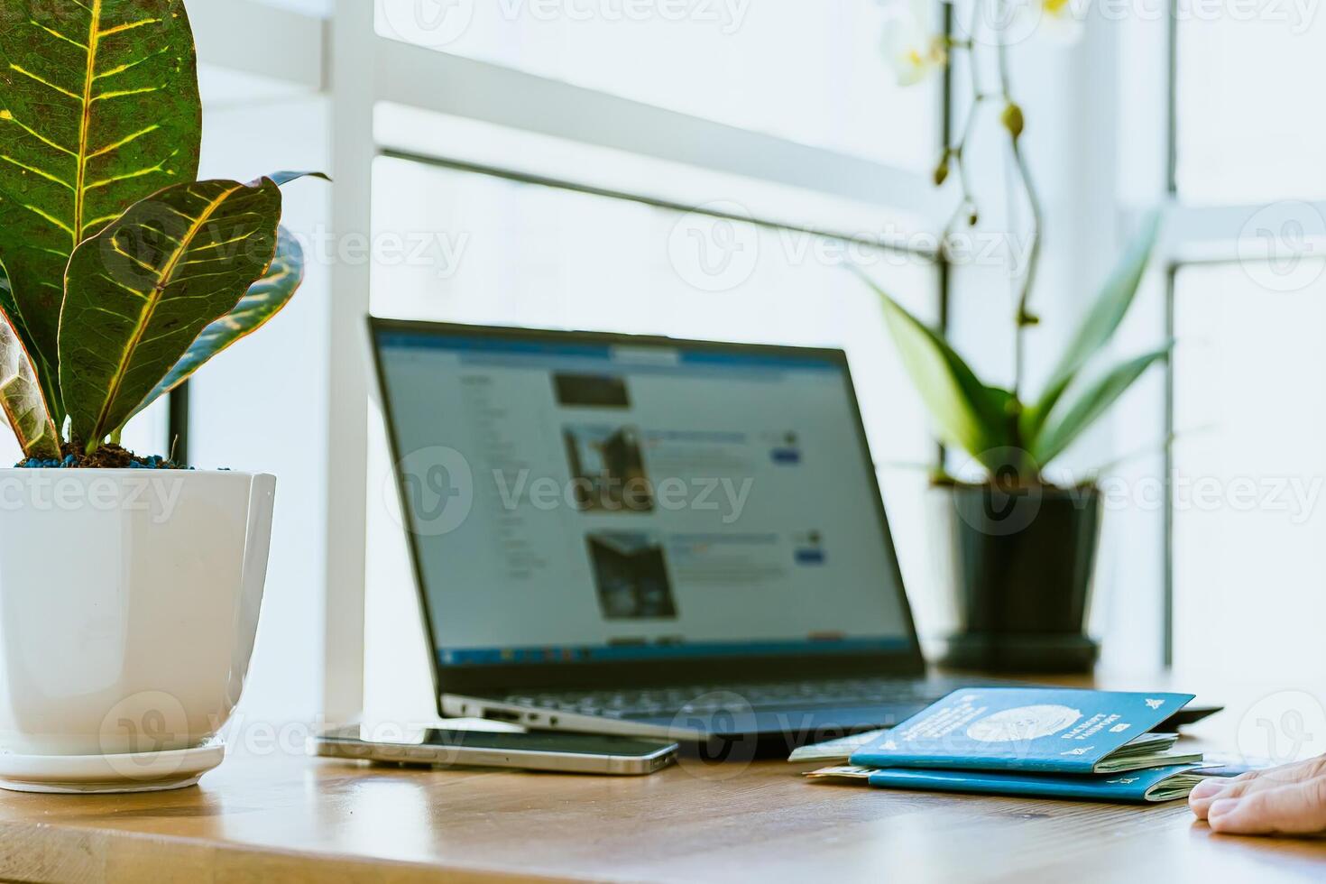 A person sitting at a desk with a laptop and a plant photo