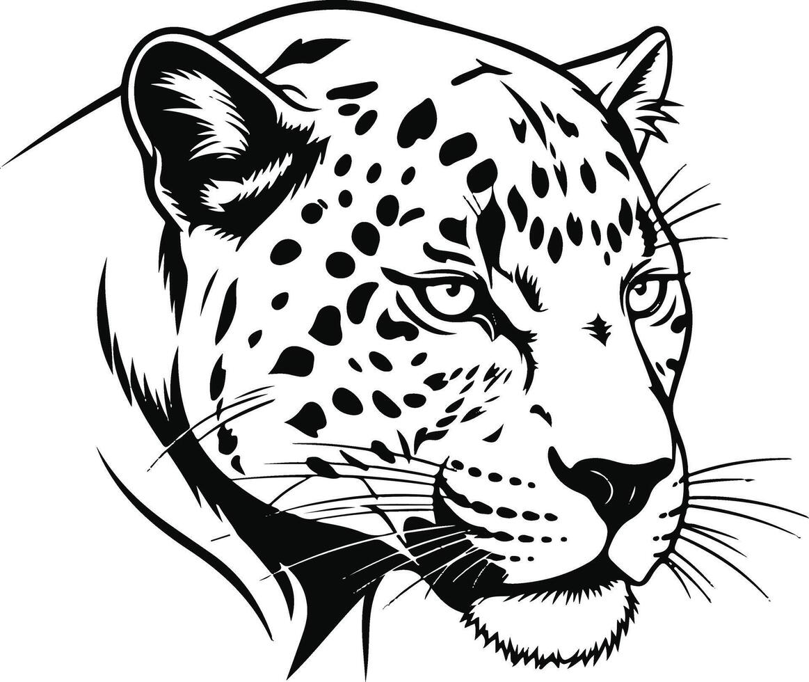 The leopard is drawn in black and white on a white background vector