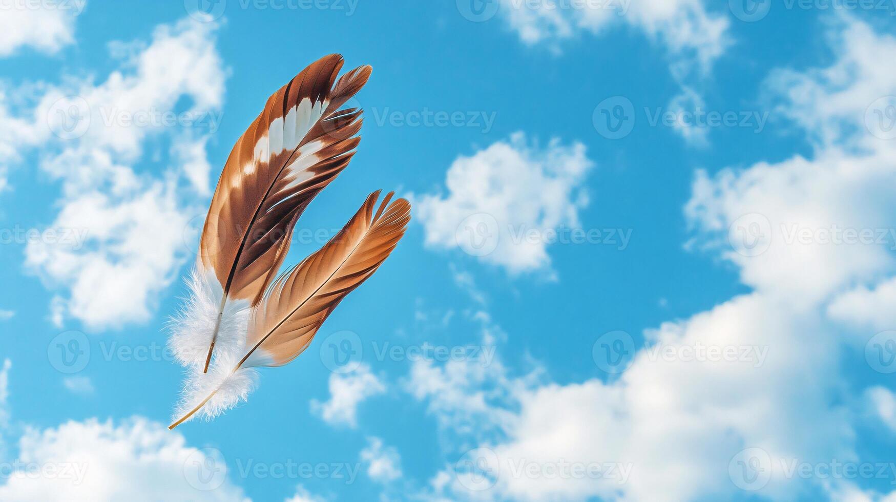 Two Delicate Bird Feathers Gracefully Floating Against Clear Blue Sky photo