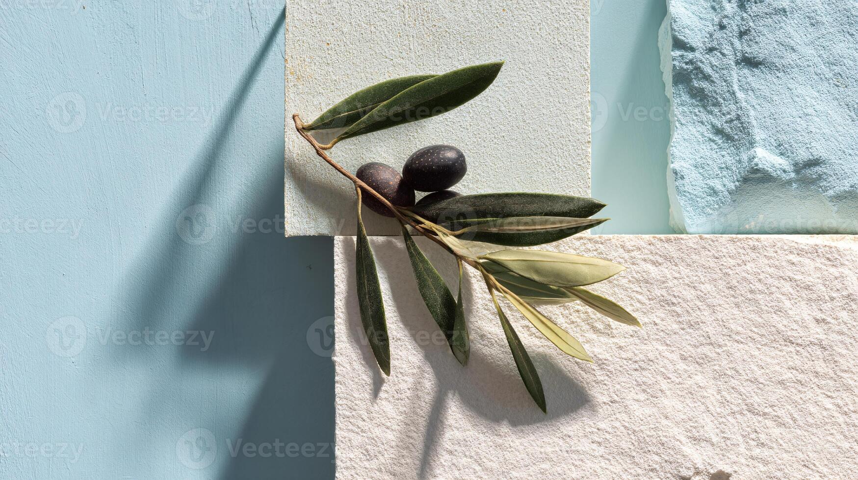 Top-Down View of Minimalist Olive Branch and Textured Abstracts photo