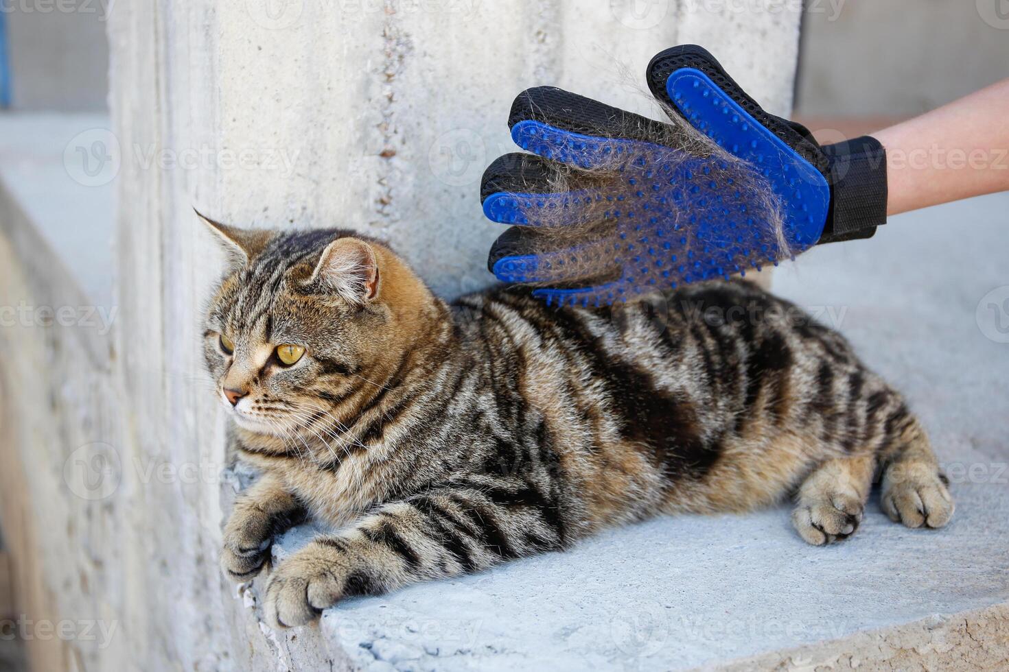 A glove for combing wool photo
