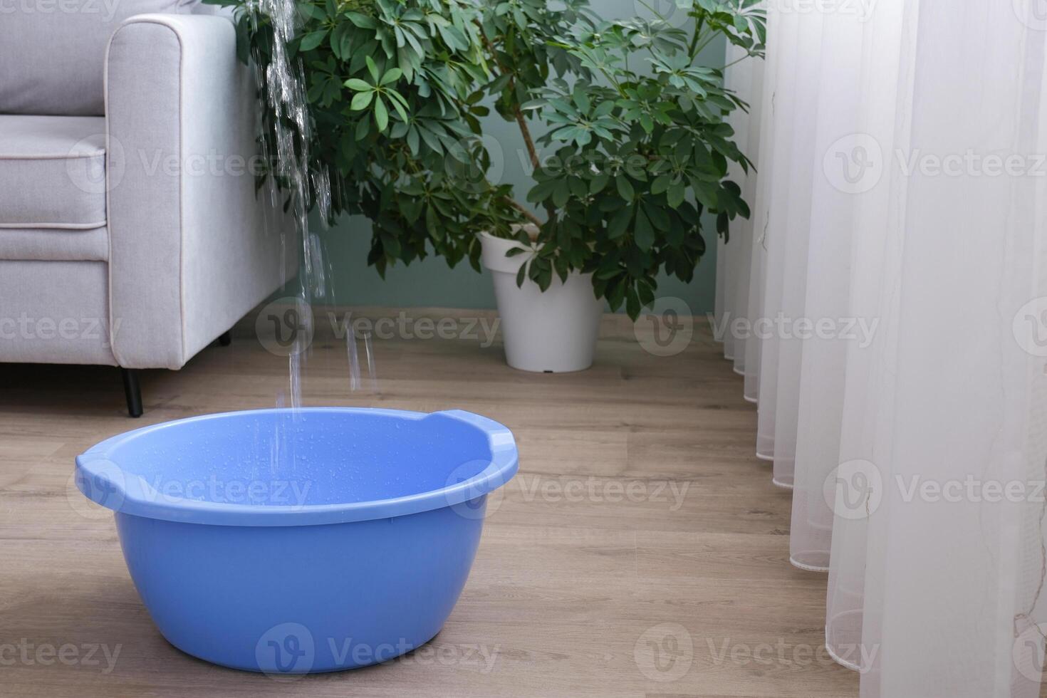 Water is running from the ceiling into a basin. Roof leak, flooded neighbors. The flood in the apartment photo