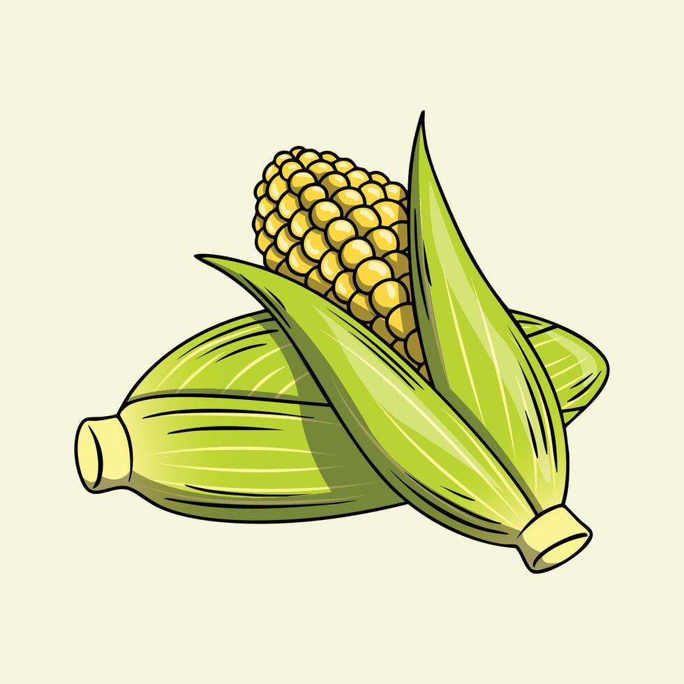Fresh corn cobs vector