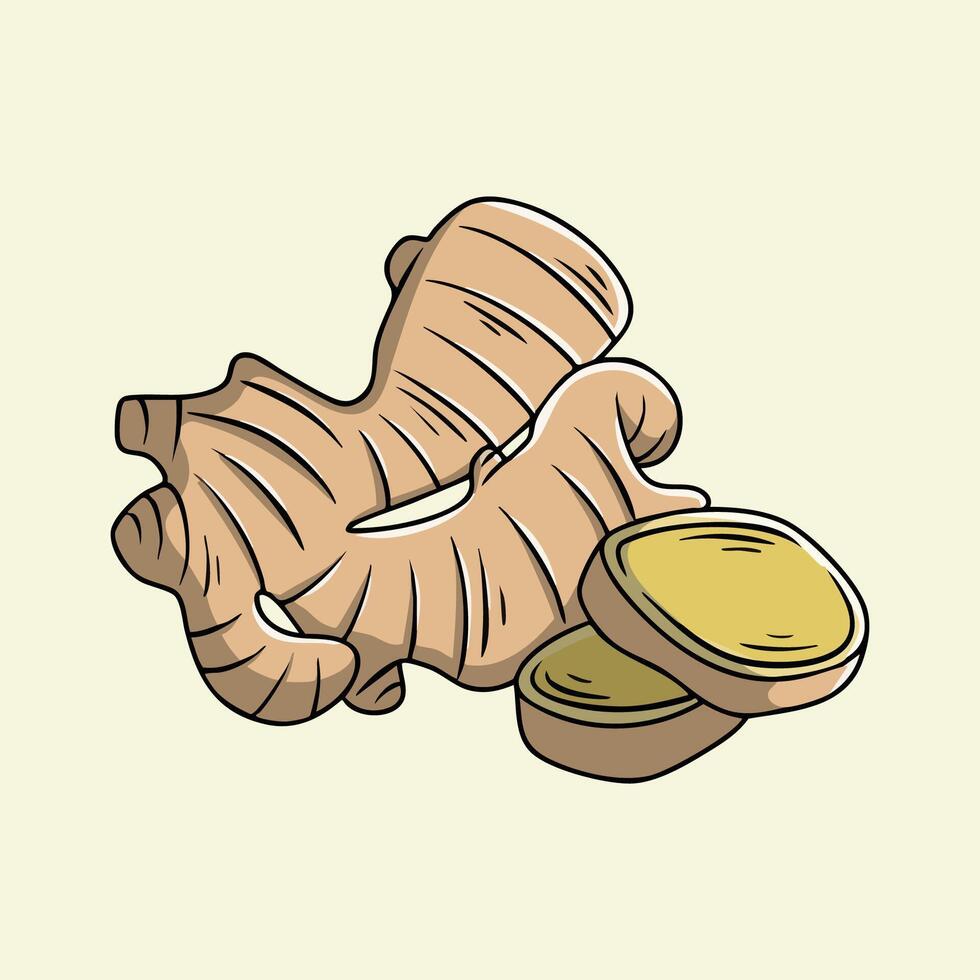 Ginger Root and Slices Illustration vector