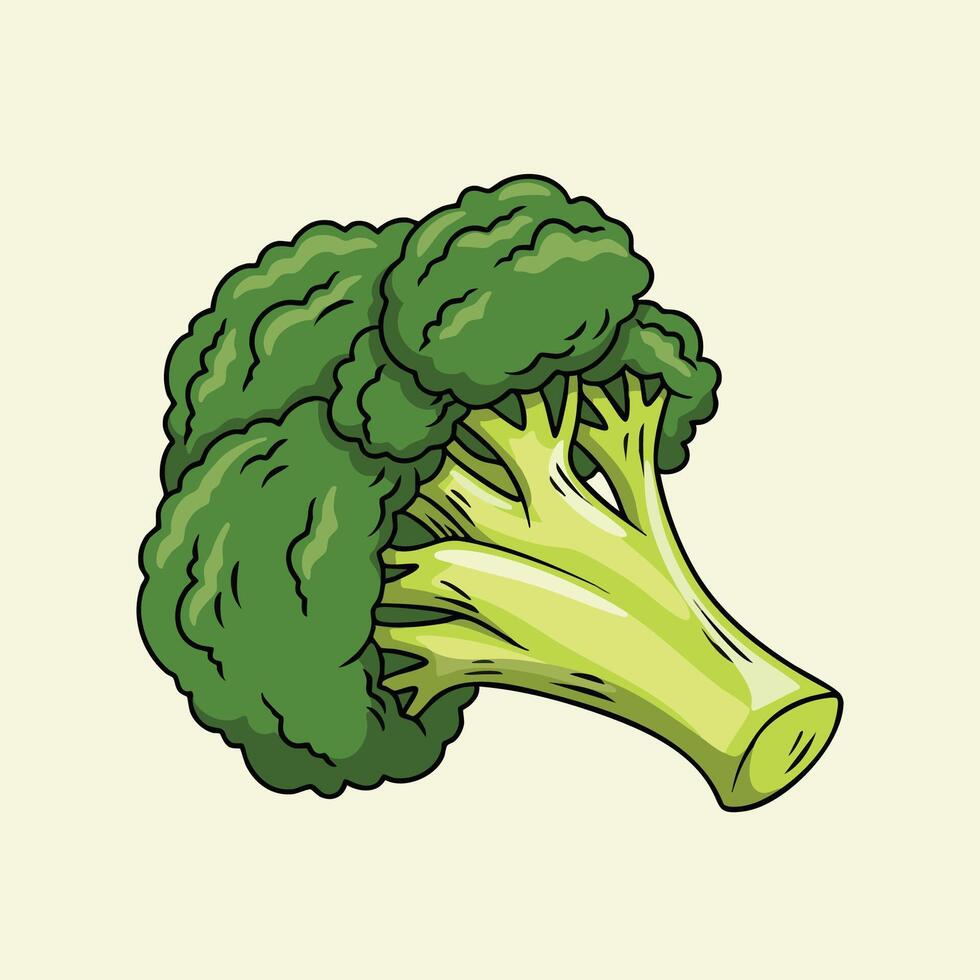 Fresh Green Broccoli Illustration vector