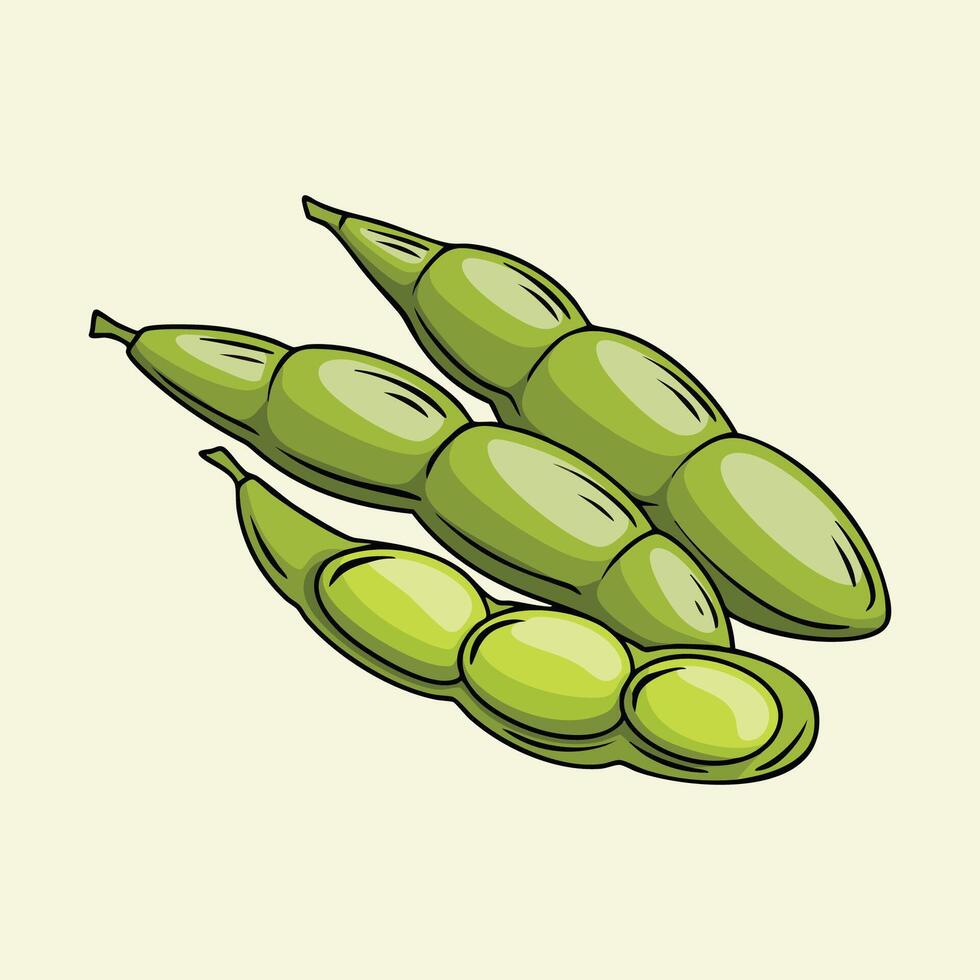 Illustration of Green Edamame Beans in Pods vector