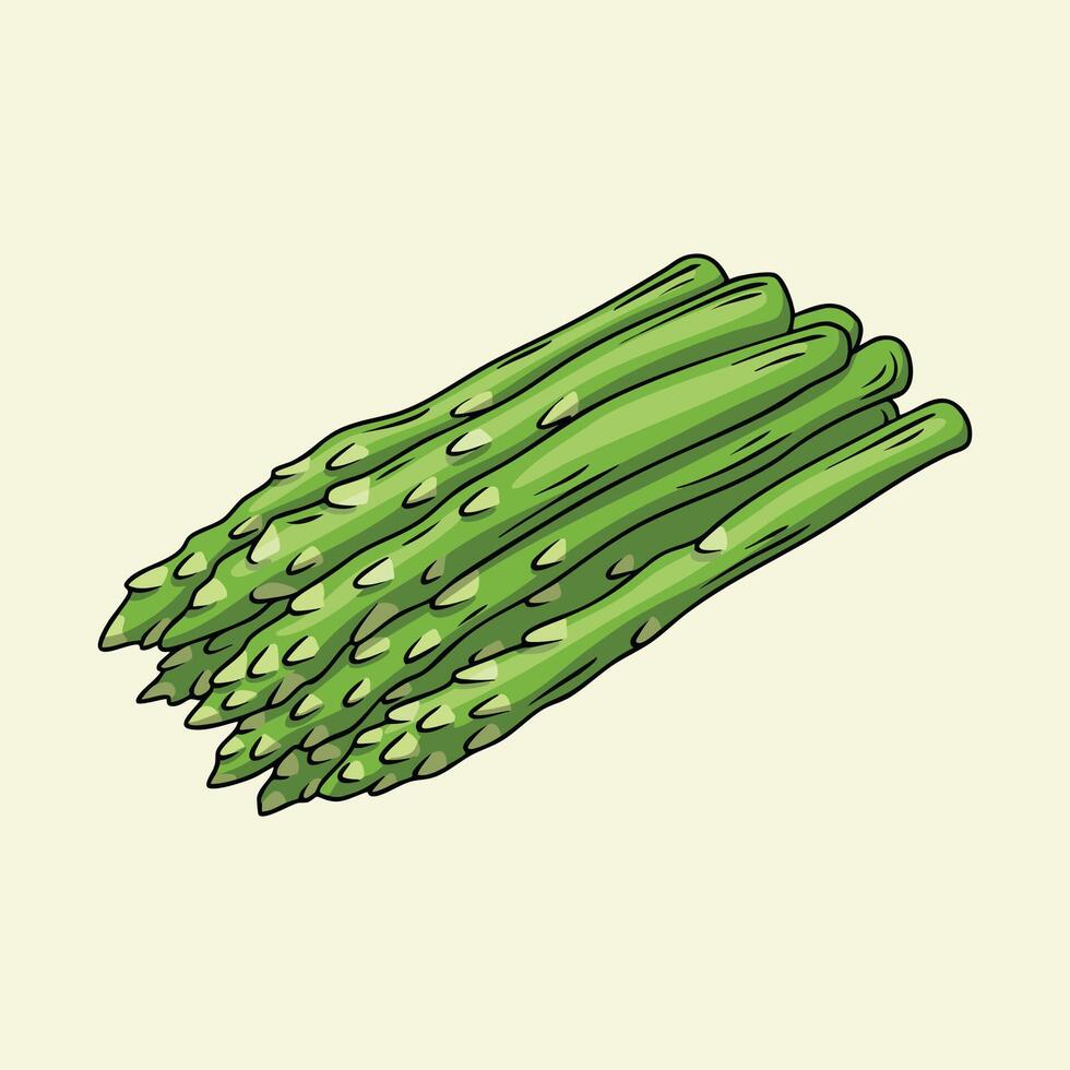 Hand-drawn asparagus spears ready for cooking vector