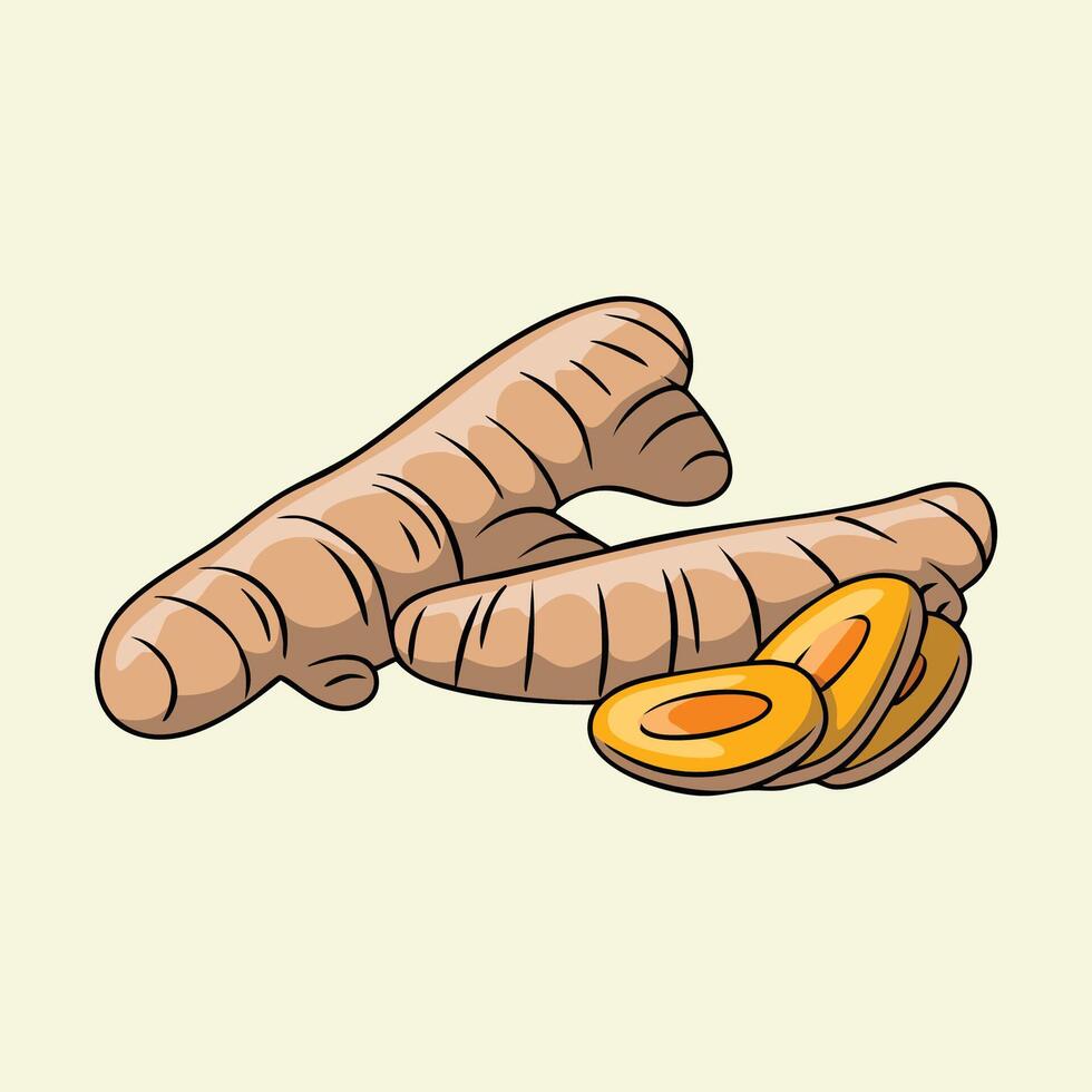 Turmeric Rhizomes Hand Drawn Illustration vector