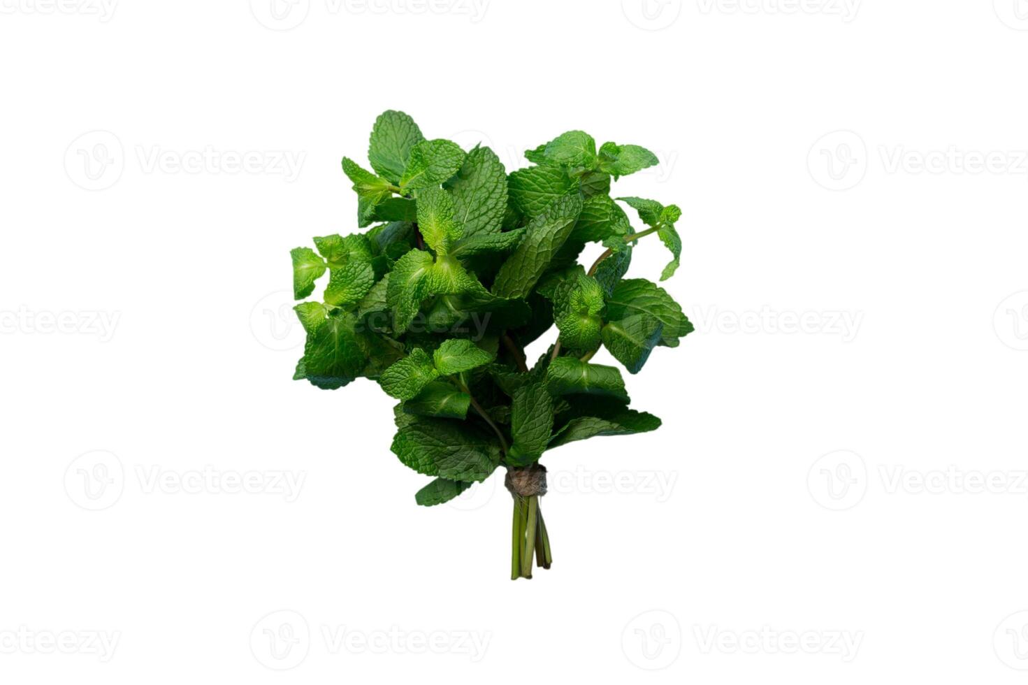 Fresh mint isolated on white background. Mint leaves isolated Top view with copy space photo
