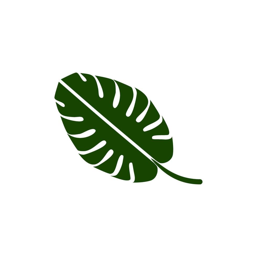 Detailed green monstera leaf against a clean background showcasing its unique shape and texture vector