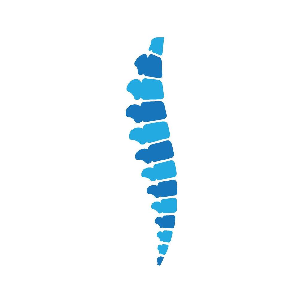 Spine illustration design vector