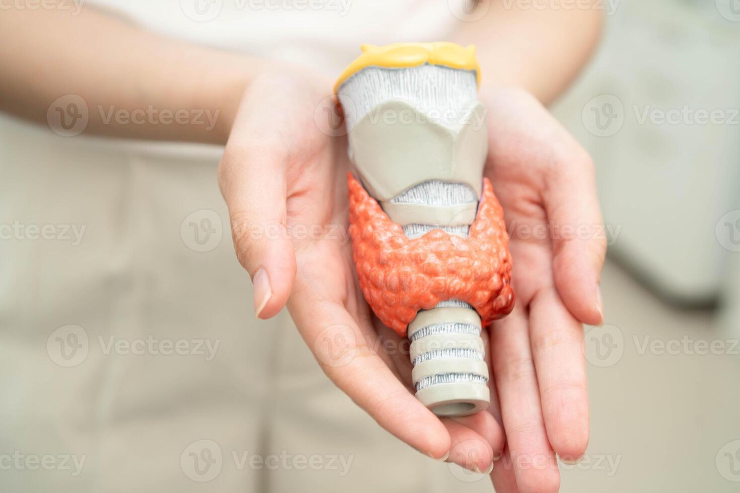 Hyperthyroidism, Overactive Thyroid, Thyroid Lymphoma, Asian woman with thyroid gland human anatomy model. photo