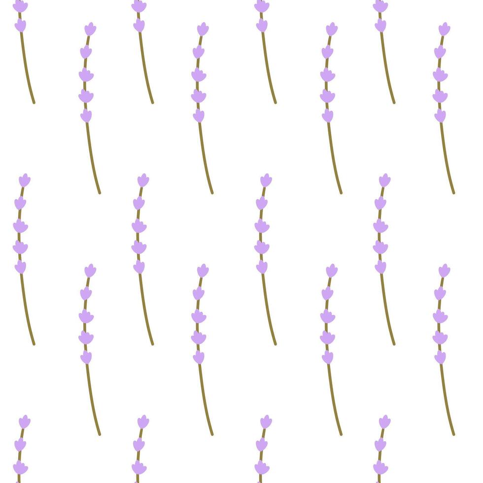 Lavender seamless pattern with flowers . Floral background. Provence design with lavender. Hand drawn illustration for textile, wrapping paper, clothing, packaging. vector