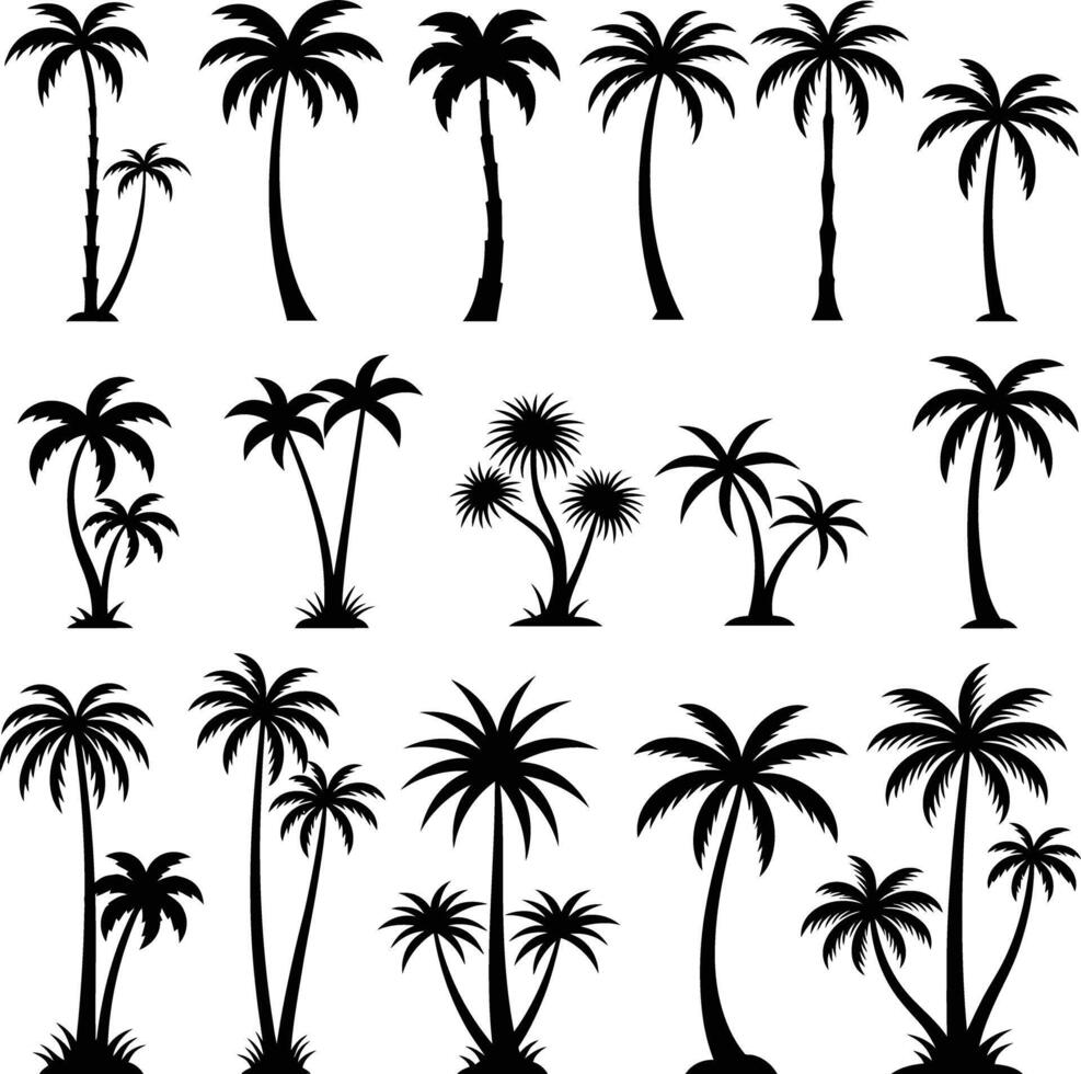 Stylized Palm Tree Illustration in Black and White Tropical Theme vector
