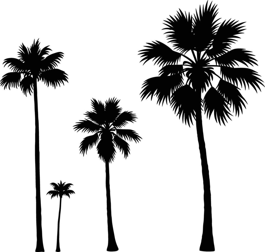 Modern Abstract Palm Tree Life Cycle Illustration Concept Design vector