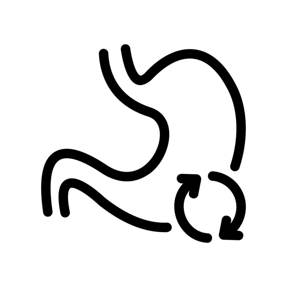 Human stomach outline with circulating arrows, symbolizing digestion vector