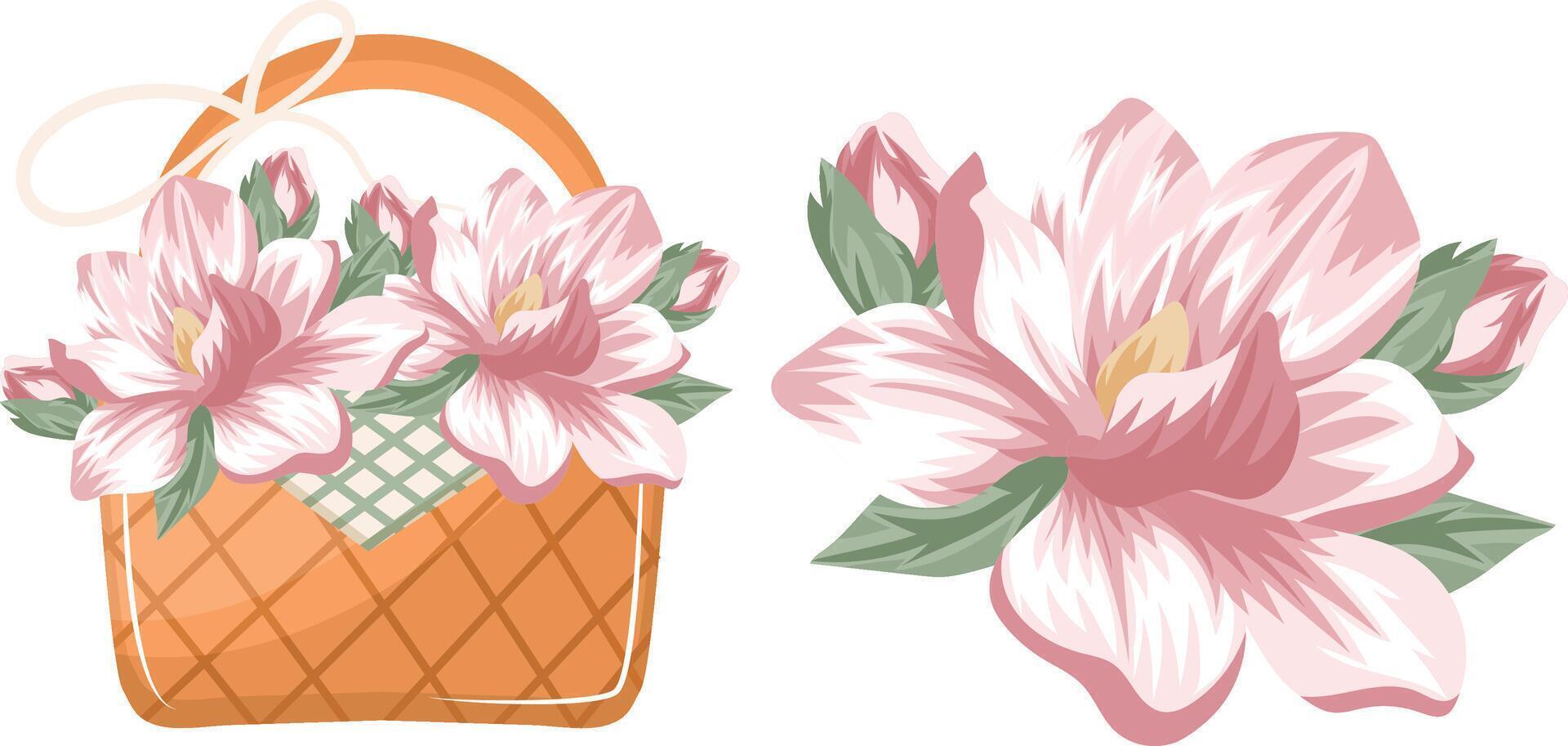 set with a woven straw basket with pink magnolia flowers and a bouquet of buds, for various designs vector