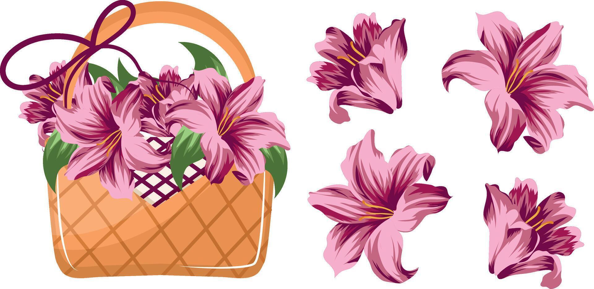 set with a woven straw basket with pink lily flowers and the lily bouquet itself, for various designs vector