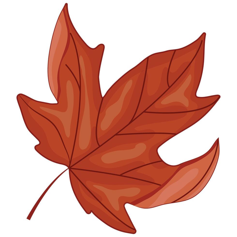 icon of the symbol of Canada, namely the red maple leaf, for Canada Day or autumn designs vector