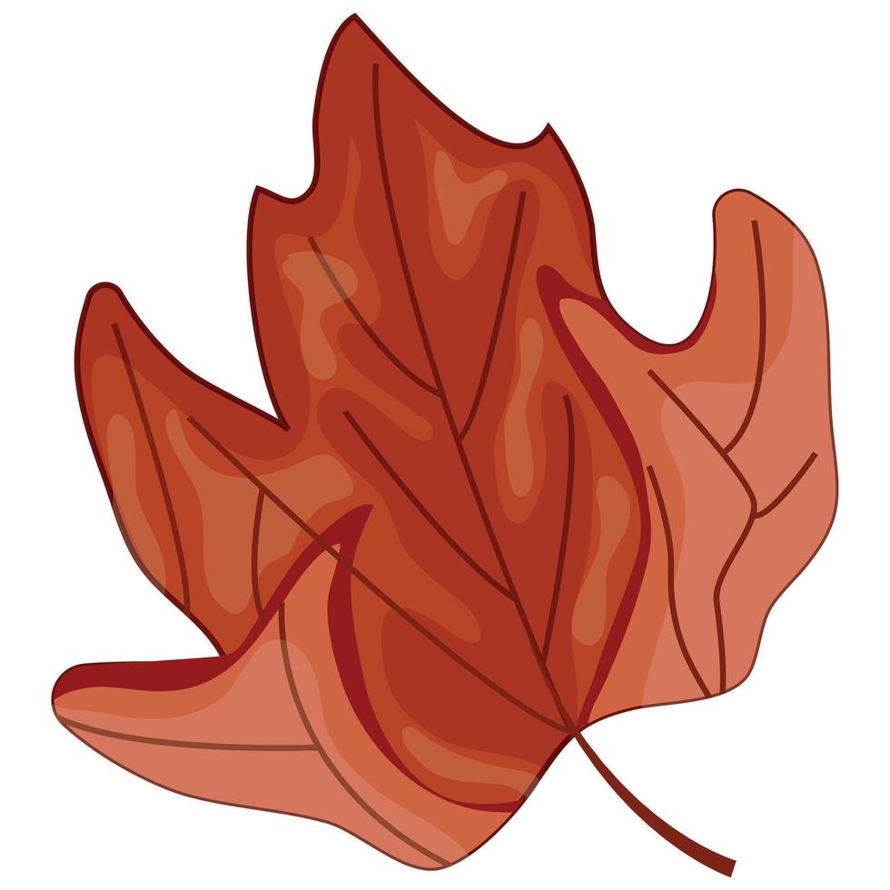 icon of a curved maple leaf in the colors of the Canadian flag, for Canada Day or autumn design vector